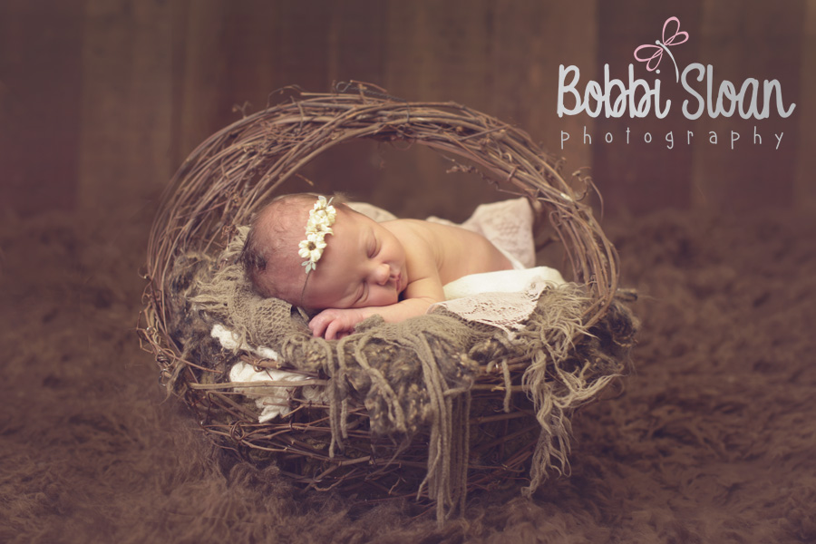 Bobbi Sloan Photography Newborn and Maternity Photographer Oliver BC Okanagan Newborn photographer www.bobbisloanphotography.com